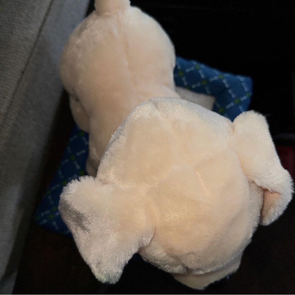 Build a Bear Promise Pets Golden Retriever Yellow Labrador Puppy 11" & Dog BED - Picture 4 of 16